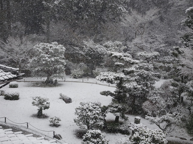 雪　庭　２階から (3)