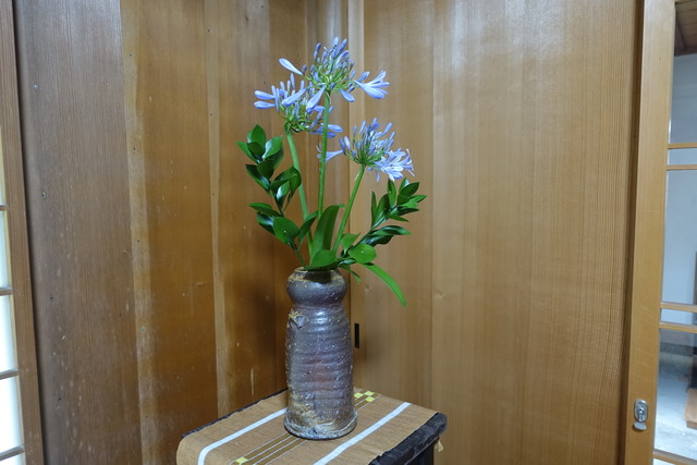 生け花 (1)