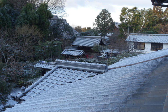 薄雪　庭　２Fより (2)