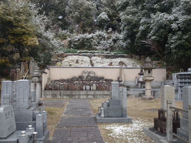 雪　自然苑　2601 (1)