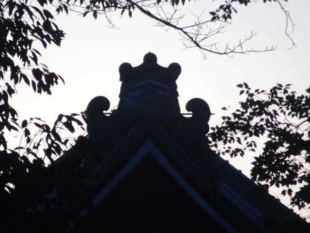 夕方のお化け　方丈の屋根瓦 (1)