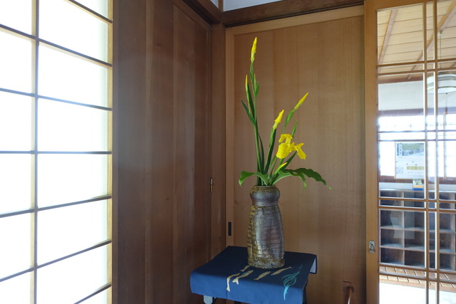 生け花　黄菖蒲 (3)