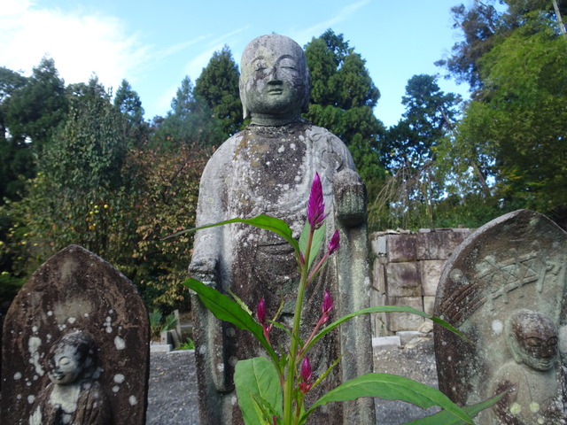 お地蔵さんとケイトウ (2)