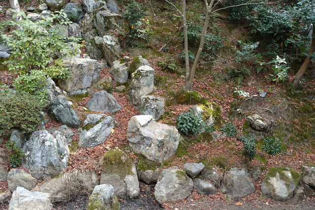 2501庭（池北・東）　伐採・掃除 (4)