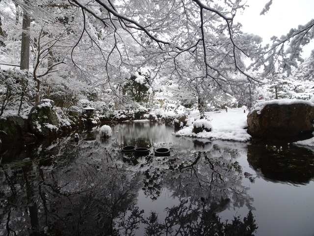 大雪庭 (19)