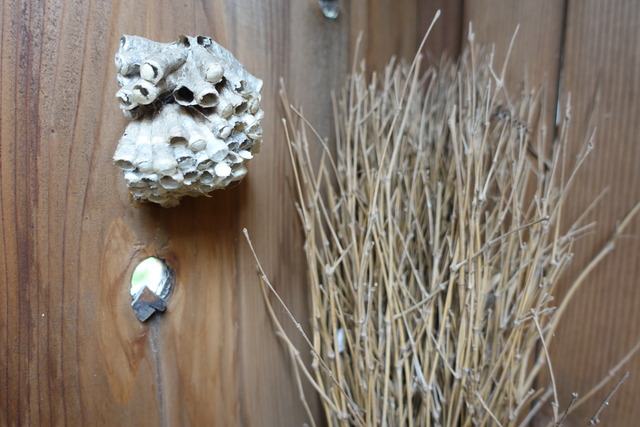 巣　足長鉢掃除道具入れ (2)