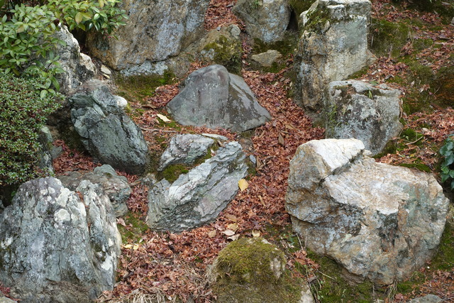 2501庭（池北・東）　伐採・掃除 (5)