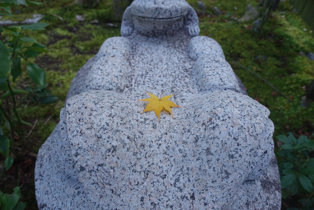 蛙　簪　もみじ (2)