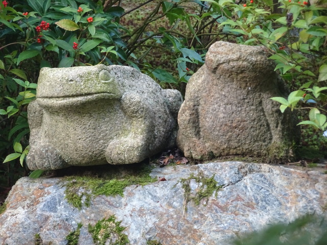 蛙の兄弟　庭 １(4)