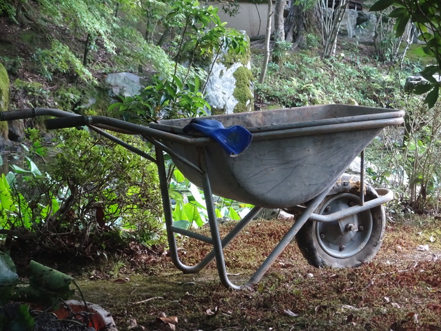 池の泥抄い　夏　 (7)