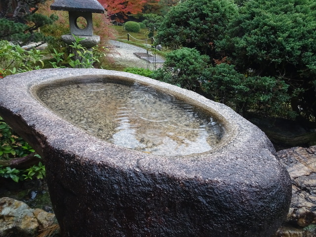 雨水　手水鉢　本堂 (1)