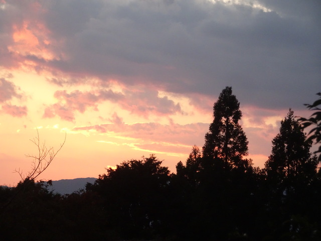 夕焼け　晴れ231016 (1)