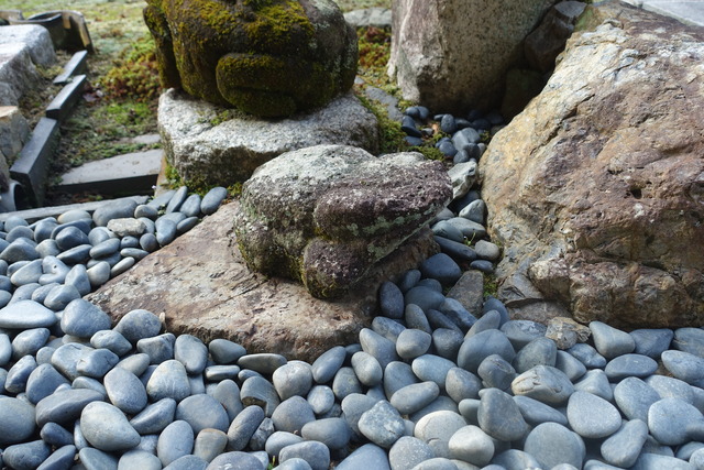 蛙の兄弟　庭 (7)