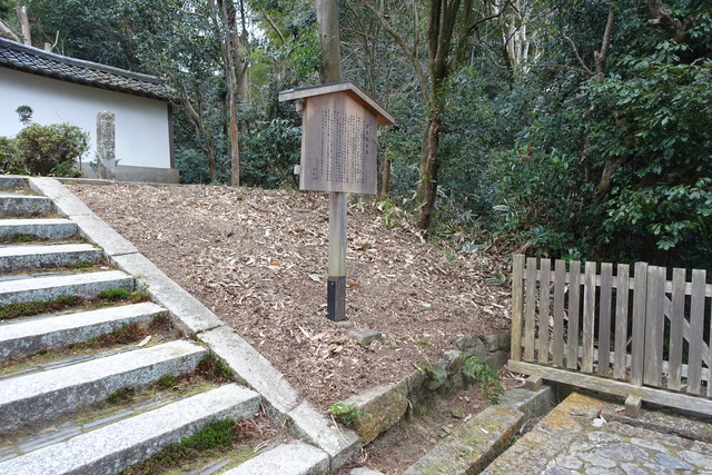 三門笹掃除　ビフォーアフター (4)