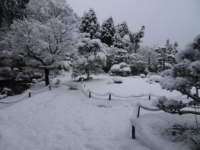 大雪庭 (16)
