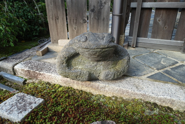 蛙の兄弟　庭 (2)