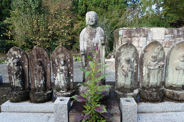 お地蔵さんとケイトウ　花 (2)