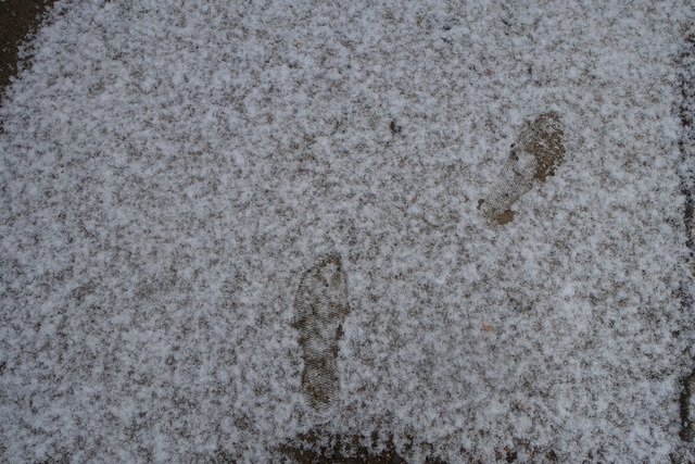 薄雪　和尚の足跡 (3)