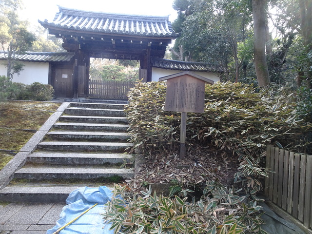 三門笹掃除　ビフォーアフター (2)