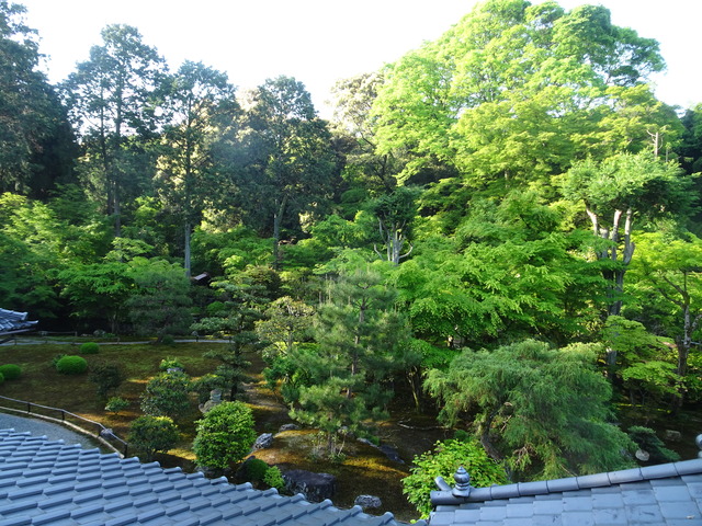 初夏の庭上より (3)
