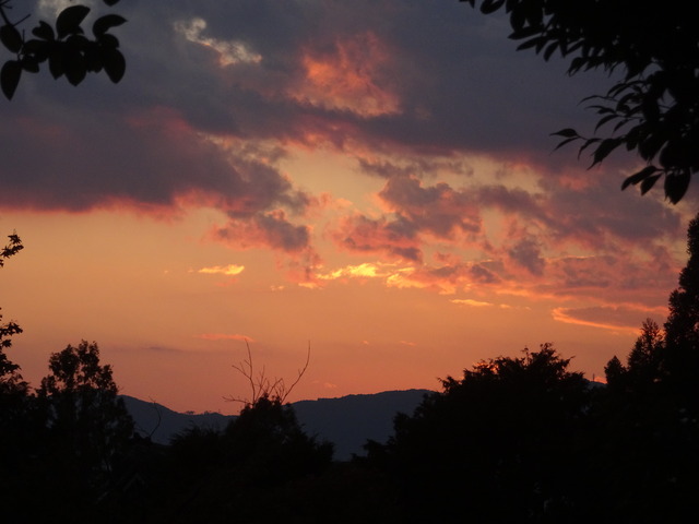 夕焼け　晴れ231016 (2)