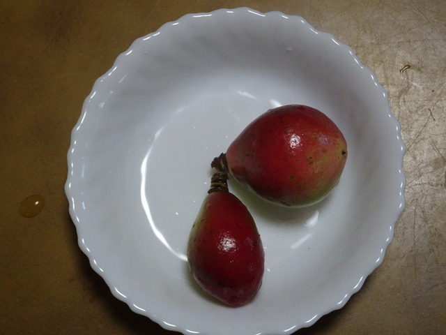 イチジク=椿の実