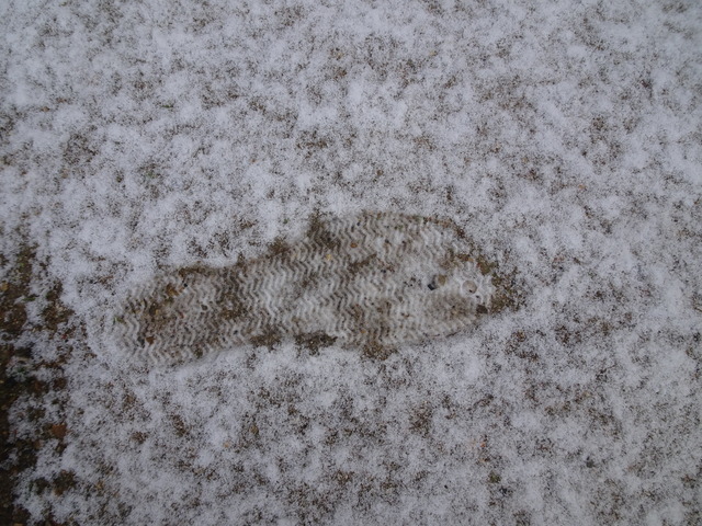 薄雪　和尚の足跡１ (2)