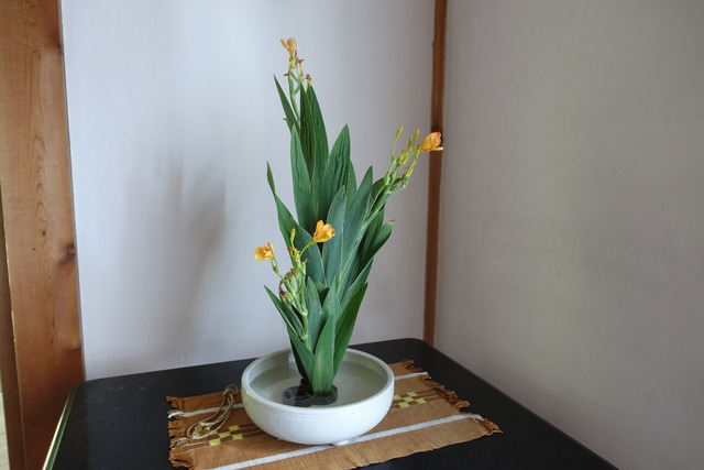 生け花　檜扇生花 (2)