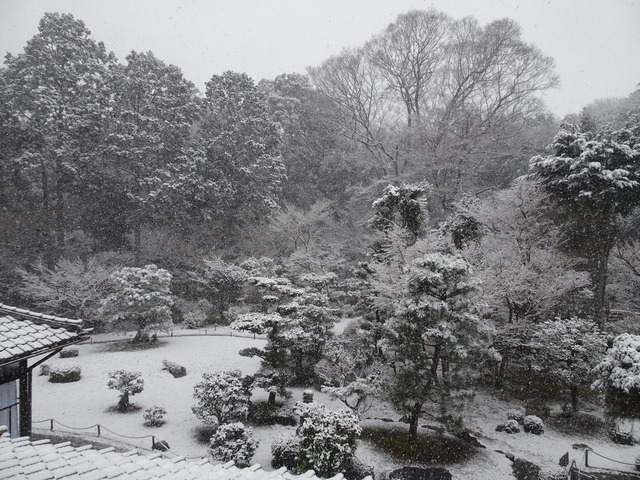 雪　庭　２階から (1)