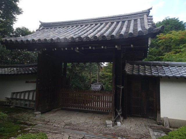 山門　台風の用意　門扉紐 (1)