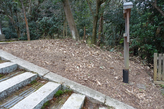 三門笹掃除　ビフォーアフター (5)