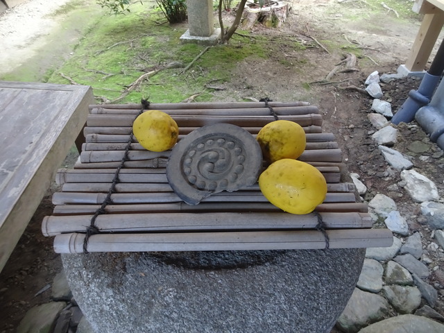 手水鉢　渡り廊下　花梨 (2)