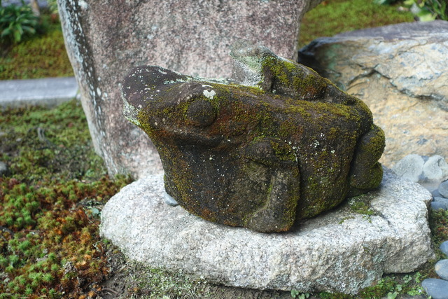 蛙の兄弟　庭 (4)