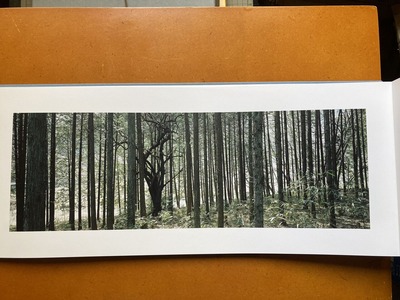 宛超凡写真集『河はすべて知っている―荒川』1