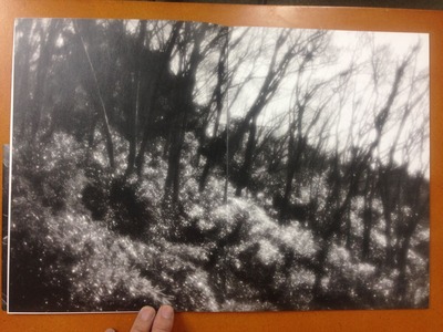 平林達也写真集『白い花』4