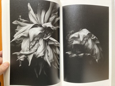 真月洋子写真集『a priori』5