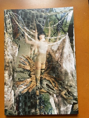 片山真理写真集 『SYNTHESIS』