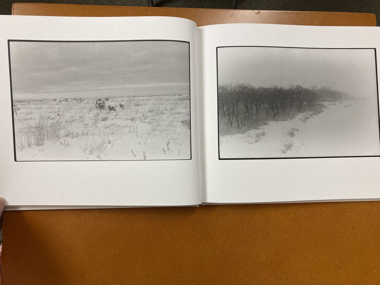 白石ちえこ写真集『鹿渡り』 (蒼穹舍、2020年10月5日発行