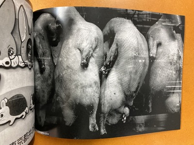 大西正写真誌『YEARS3月号』5