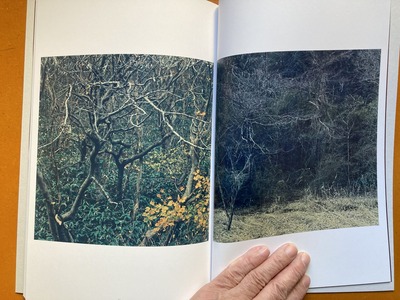 柿崎真子 写真集 『音のはじまり』4