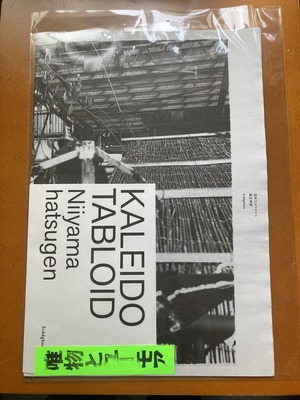 新山発現写真集『枯井戸タブロイド』