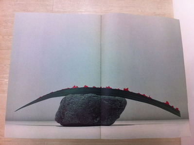 ÃæÀÉ׺îÉʽ¸¡Øyukio nakagawa¡Ù3
