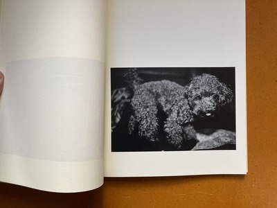 千葉雅人写真集『小さい犬』 3