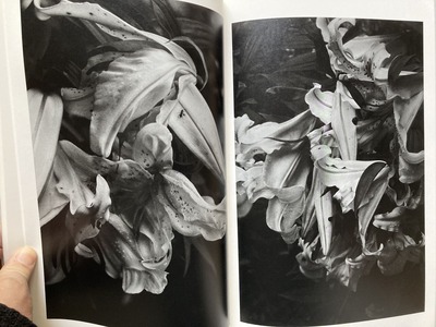 真月洋子写真集『a priori』4