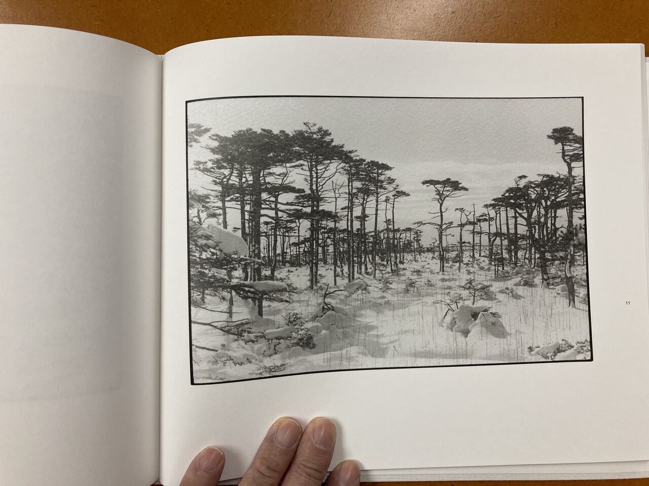 白石ちえこ写真集『鹿渡り』 (蒼穹舍、2020年10月5日発行 白石ちえこ写真集『鹿渡り』 (蒼穹舍、2020年10月5日発行