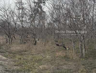 On_the_dunes