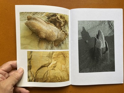 シュガー翔太写真集『雑魚も歩けば某に当たる』2