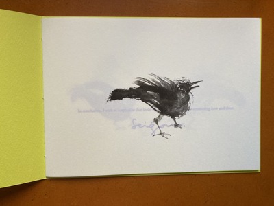 松岡正剛作品集 「Birds」1