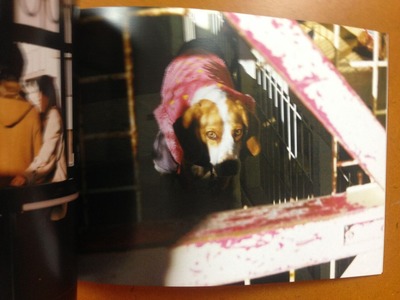 石毛優花写真集『MIX BITS』4