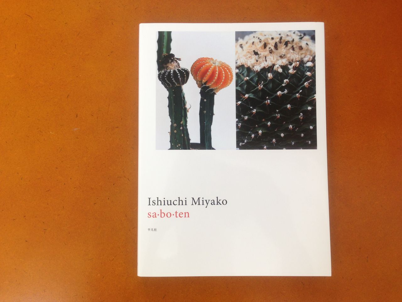 【中古】石内都 写真集 sa・bo・ten / 叢 石内都 写真集 sa・bo・ten / 叢 石内都 「時のかたち - sa・